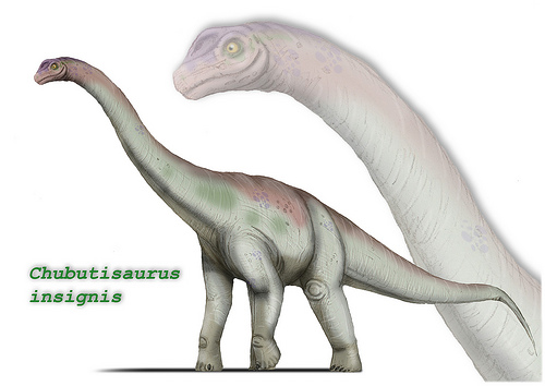 File:2361399239 e376012009.jpg