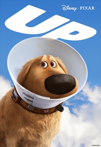 File:Up Poster 6.jpg