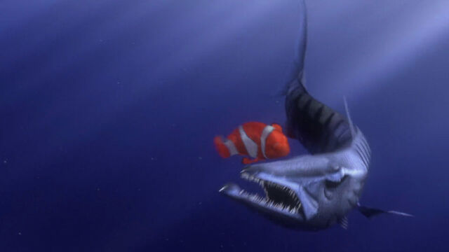 File:Finding-nemo-disneyscreencaps com-291.jpg