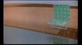 Thumbnail for version as of 19:55, November 30, 2009