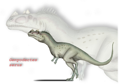 File:2365649715 c6e3d2807e.jpg