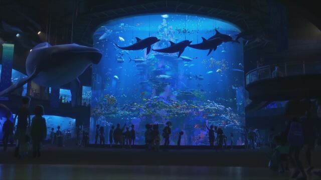 File:MLI aquarium.jpg