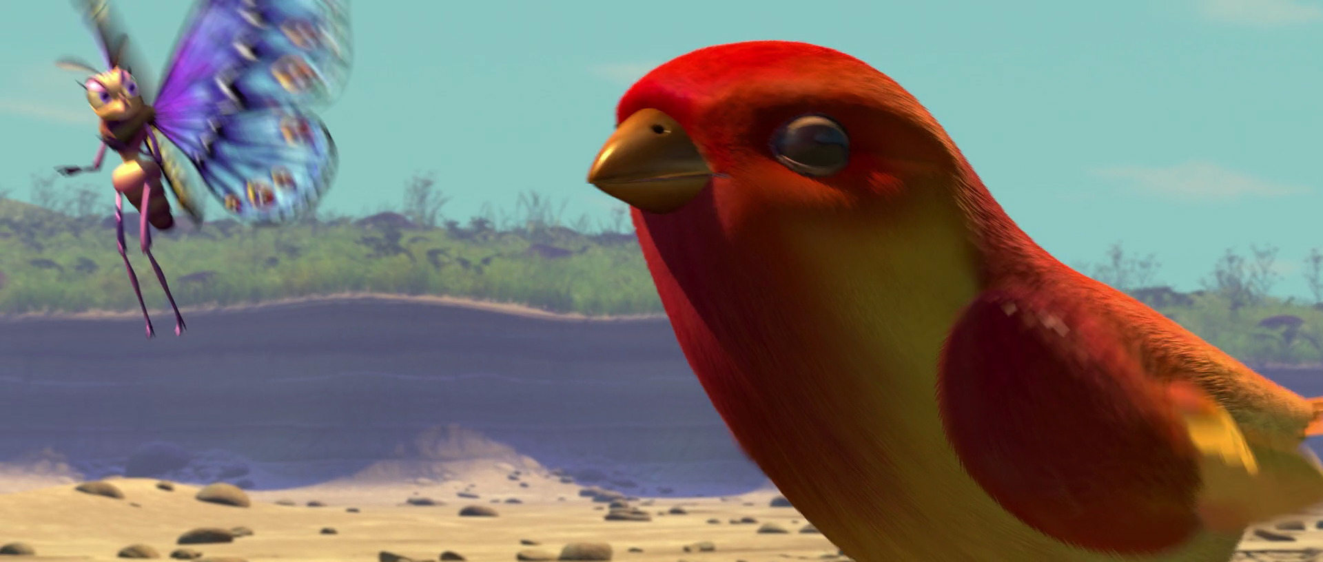 pixa birds pixa birds