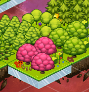 TreesAndAnimals