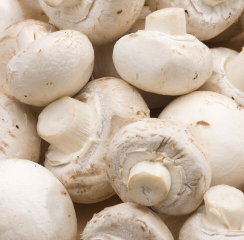 File:Champignon.jpg