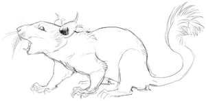 Rattata Alola schizzo