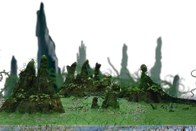 Swamp