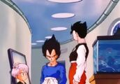 Vegeta, trening przed TB25 (2).jpg