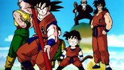TheZFighters03