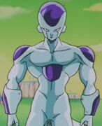 Freezer Forma 4.jpg