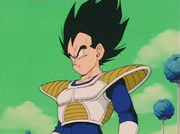 Vegeta Namek.png