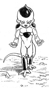 Kuriza (2).jpg