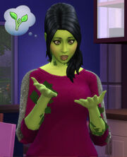 TS4 Materia roślinna.jpg