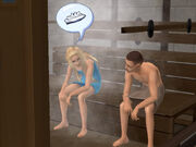 Sauna1.jpg