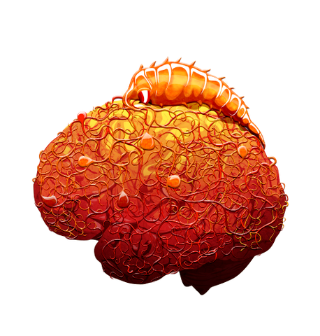 File:Brain 06 off@2x.png