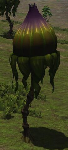 File:Peachflwr.jpg