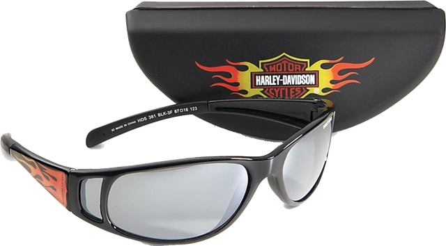 File:Sunglasses and Case.png