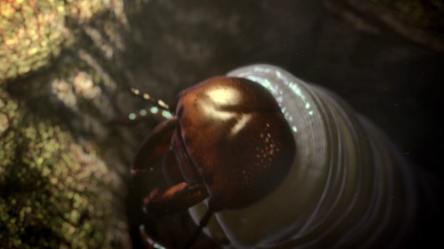 File:1x2 BeetleLarva.png