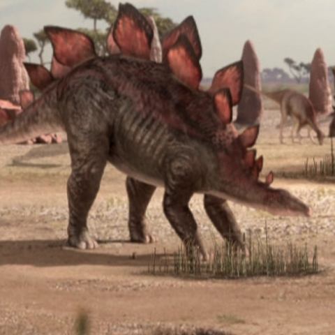 File:StegosaurusPortrait.png