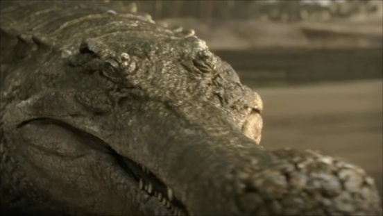 File:Sarcosuchus-2.png