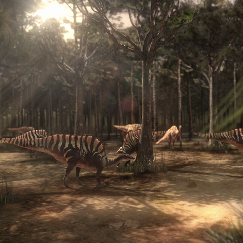 File:CarcharodontosaurusTerritoryPortrait.png
