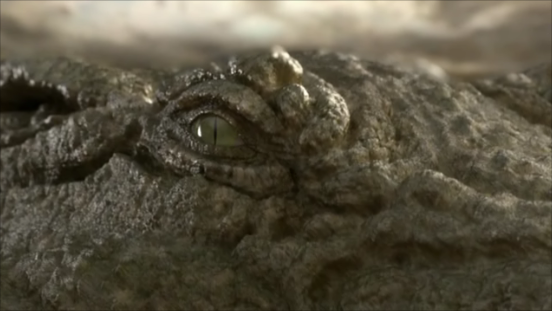 File:Sarcosuchus-4.png