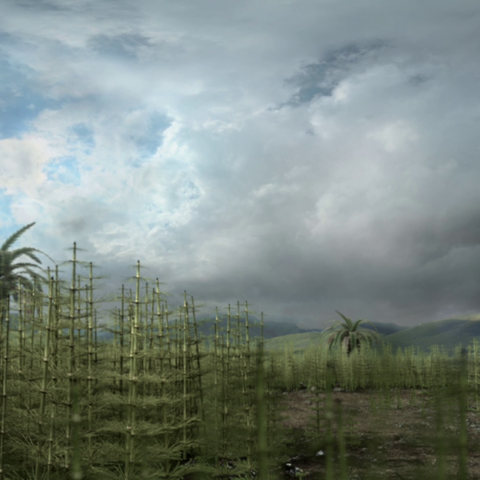 File:HatzegIslandPortrait.png