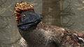 Thumbnail for version as of 16:27, September 27, 2011