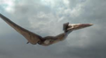 Thumbnail for version as of 16:18, June 8, 2012