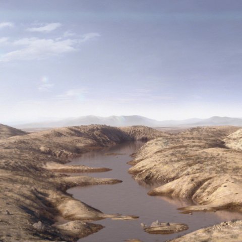 File:AfricanDesertPortrait.png