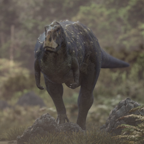 File:RugopsPortrait.png