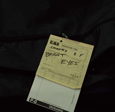 File:Bright Eyes4.jpg