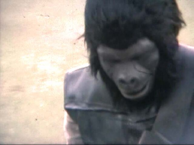 File:Plymouth Apes 5.jpg
