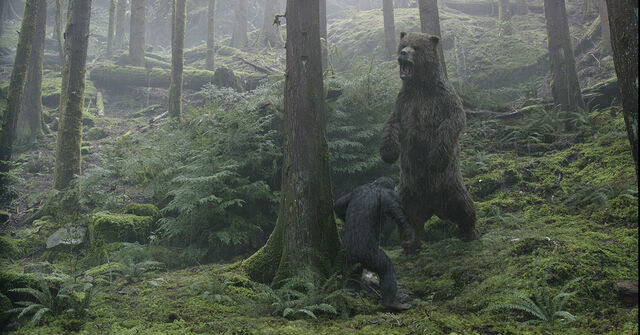 File:DOTPOTAs-BlueEyes vs Bear.jpg