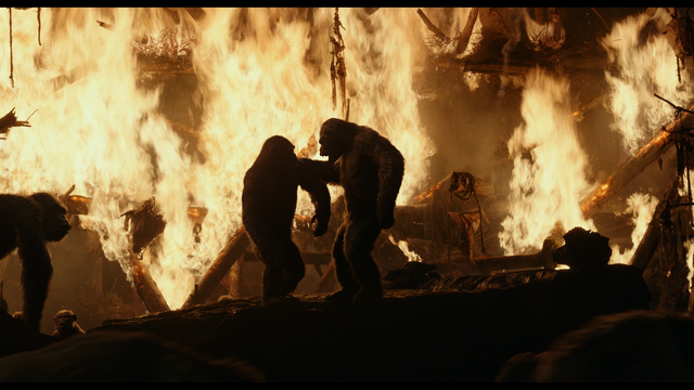 File:Koba & Blue Eyes.png