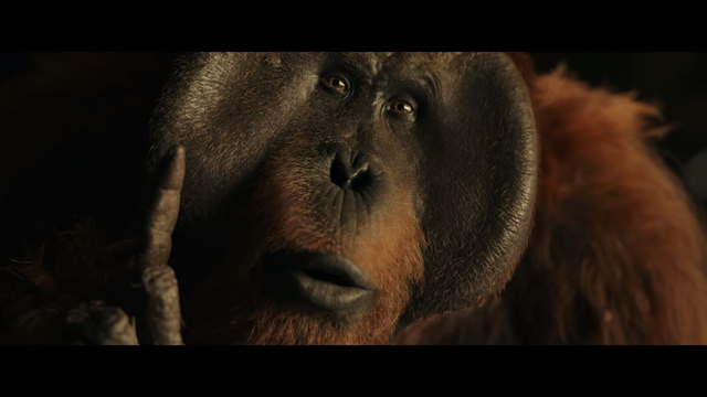 File:WPOTA Maurice 3.png