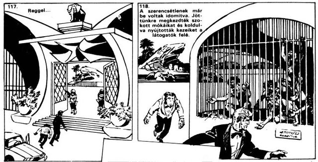 File:81singes26.jpg