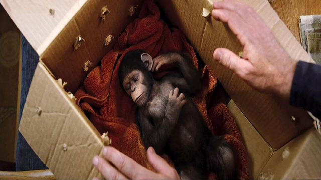 File:Baby Caesar.png