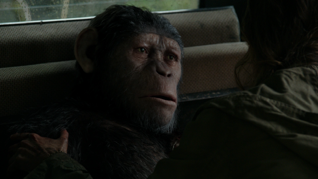 File:Wounded Caesar and Ellie.png