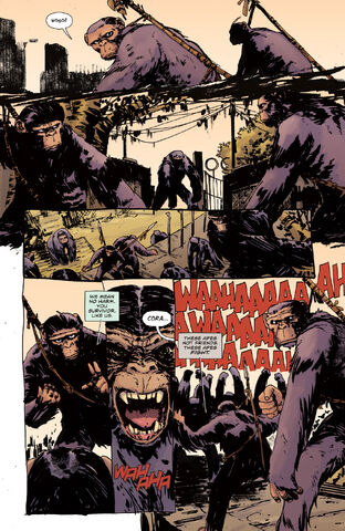 File:BOOM DawnPOTA 003 PRESS-6.jpg