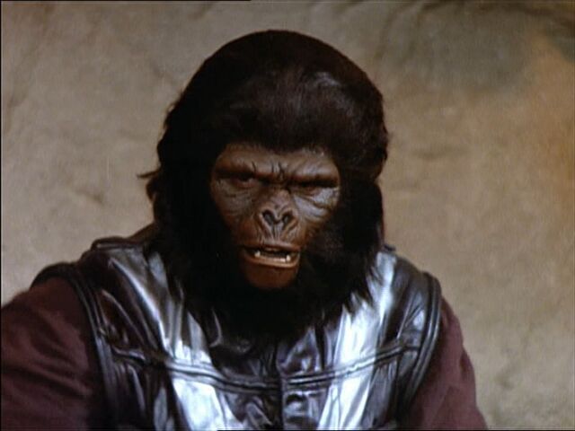 File:Lieutenant gorilla.jpg