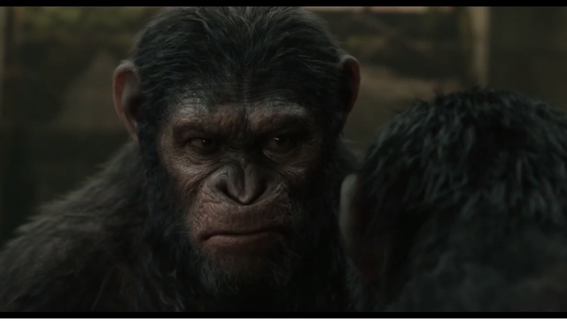 File:Caesar's low tolerance against Koba's defiance.png