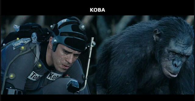 File:Dawn-apes-featurette.jpg