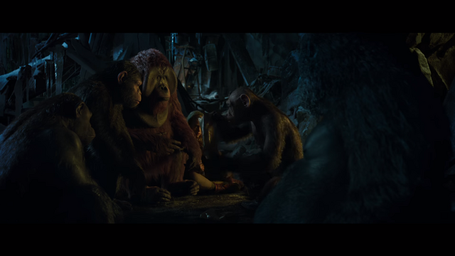 File:WPOTA Bad Ape shows military rations.png