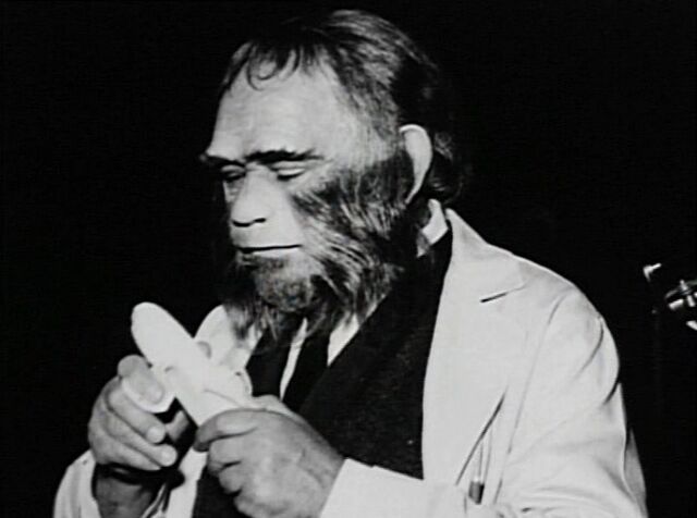 File:Nye Zaius.jpg