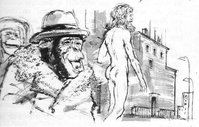 File:71singes11.jpg