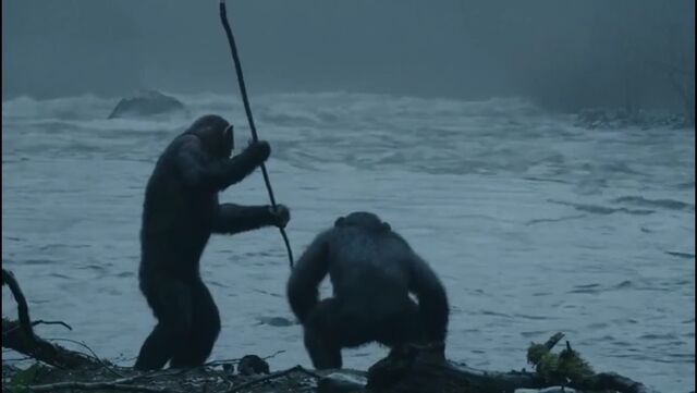 File:Blue eye and ash fishing featurette pic.jpg