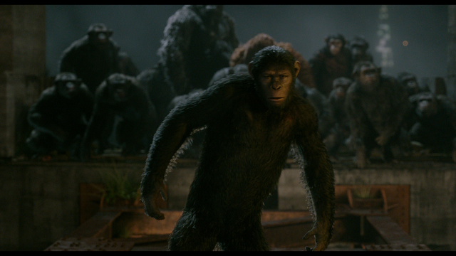 File:Caesar facing Koba.png