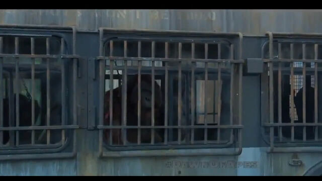 File:Apes in Cages.jpg