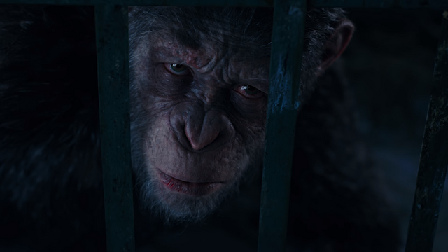 File:WPOTA Caesar 12.png